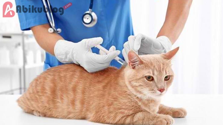 biaya vaksin kucing di puskewan